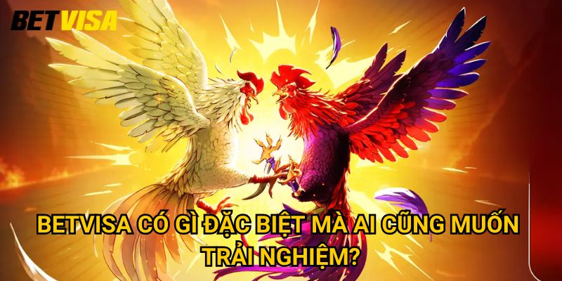Trang chủ 20 Betvisa có gì đặc biệt mà ai cũng muốn trải nghiệm?