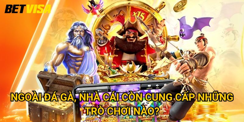 Trang chủ 22 Ngoài đá gà, nhà cái còn cung cấp những trò chơi nào?